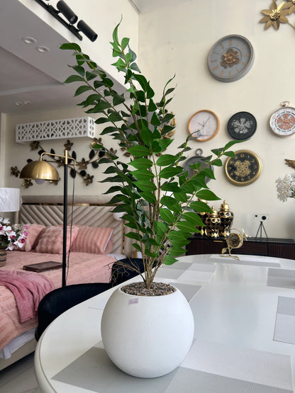 Dwarf Plant with Pot 04 – Realistic Mini Artificial Plant | Meer Decor World